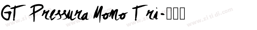 GT Pressura Mono Tri字体转换 GT Pressura Mono Tri字体转换